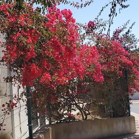 L&j Ocean View * Албуфейра