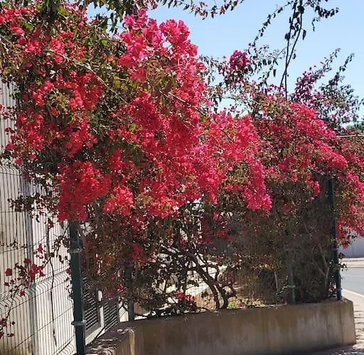 L&j Ocean View * البوفيرا